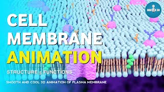 Cell Membrane Animation  Structure and Functions of Plasma Membrane  Doctor 3D [upl. by Westberg]