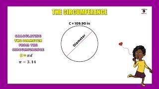 Finding the Diameter given The Circumference [upl. by Had]