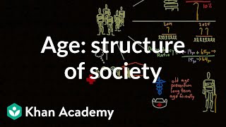 Demographic structure of society  age  Society and Culture  MCAT  Khan Academy [upl. by Perce]