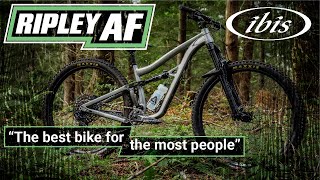 Ibis Ripley AF Review An AggroXC MTB for Everyone DownCountry [upl. by Naitsabas]