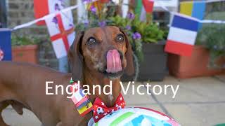 🏴󠁧󠁢󠁥󠁮󠁧󠁿🏆❓England to win Euro 2020 according to Psychic Sausage Dog 欧洲杯 英格兰 意大利 [upl. by Eidson]