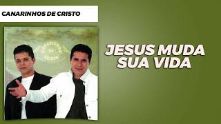 Canarinhos de Cristo Jesus Muda Sua Vida  Álbum Vencedor [upl. by Aicarg]