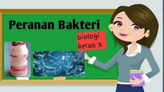 Peranan Bakteri Kelas 10  Menguntungkan Dan Merugikan [upl. by Arok]