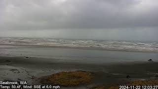 Seabrook Washington Live Stream [upl. by Larsen]