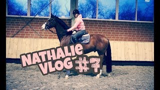 Dressurtraining mit einem Springpferd  FMA  DAILY VLOG  Nathalie Teil 7  BOMBIBLOG [upl. by Orgell]