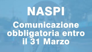 Naspi comunicazione Obbligatoria entro il 31 Marzo [upl. by Rubel171]