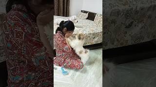 मांek rishta pyar kaytstreandingpetsrescue cutepetsviralreelsreels videos viral [upl. by Hoagland523]