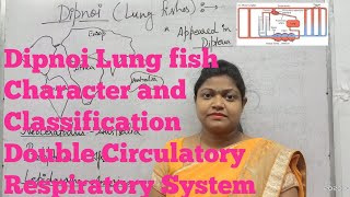 Dipnoi Lung fish ExternalInternal features Classification and Circulatory Respiratory system [upl. by Oilasor]