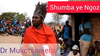 Shumba yengozi Sekuru Mukotsanjera Kuripwa Kwengozi [upl. by Delmar]