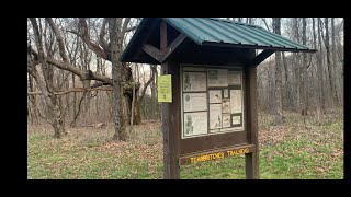 Cohutta Wilderness Tearbritches Trail April 2021 [upl. by Becket]