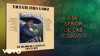 Vicente Fernández  Ese Señor de las Canas Cover Audio [upl. by Len]