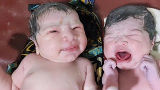 Cutest healthy Twin babies after birth baby twins twining trending [upl. by Ahsieka294]