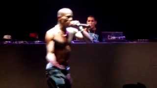 DMX  Party Up Up In Here LIVE IN MOSCOW 2014 [upl. by Ecnerat]