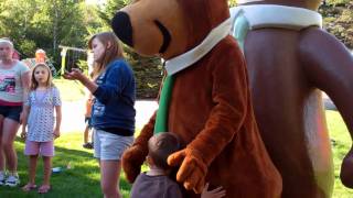 meeting yogi bear [upl. by Brent]