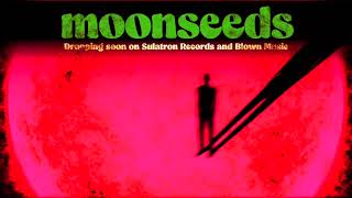 Moonseeds  st LP and CD promoclip [upl. by Eiluj]