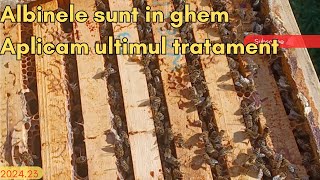 Tratam varroa si prezint 3 familii albinele sunt in ghem [upl. by Atilal23]