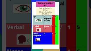 Glasgow Coma Scale Made Easy with Mnemonics amp Tricks gcs mbbs neetpgpreperation mnemonic shorts [upl. by Ecart972]