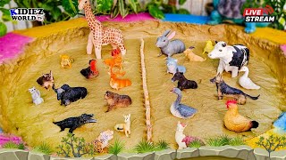 Learn Farm Animals Wild Animals for Kids in this Fun Learning Videos for Toddlers [upl. by Ssecnirp]