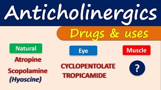 Anticholinergics  Drugs and uses [upl. by Hinch]