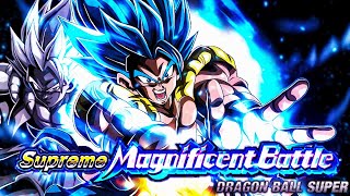 SUPREME MAGNIFICENT BATTLE STAGE 7 VS SSGSS GOGETA DBZ Dokkan Battle [upl. by Melcher]