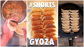 How to Fill amp PanFry Gyoza Shorts [upl. by Sivrat]