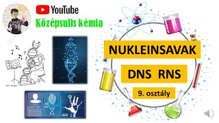 Nukleinsavak DNS RNS fehérjeszintézis  9 osztály [upl. by Caldwell310]