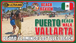 🪅De OroFlamingoLos Tules Puerto Vallarta Mexico 🇲🇽 Active🏖️ 4K Walking Tour Beach Walk amp Review [upl. by Shepard]