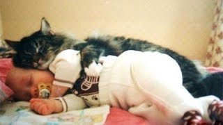 Cats and babies cuddling – Cute cat and baby compilation [upl. by Siraved]