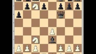 Sicilian Kan Variation Brach vs Dvorak [upl. by Anitneuq]