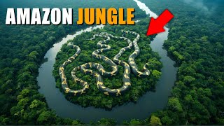 Most Dangerous Animals Of Amazon Rainforest Facts About Amazon Animals JH TV [upl. by Cuhp]