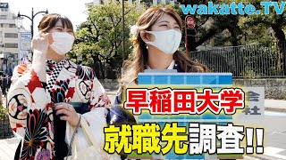 ふーみん奇行に走る！？早稲田生の卒業後の就職先を調査！【wakatteTV】521 [upl. by Attenrad100]