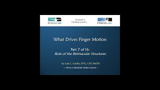 What Drives Finger Motion Part 7 of 16 Role of the Retinacular Structures [upl. by Pepita]