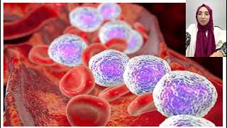 Acute Lymphoblastic Leukemia ALL Cell Identification imageprocessing phyton [upl. by Akinas]