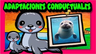 Las adaptaciones conductuales de los animales 🐳➕🐥➕🐠➕🐞 [upl. by Pampuch89]