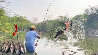 Unbelievable single hook fishing catching big rohu fishes  fish videos ganesh vlogger [upl. by Aneela]