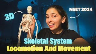 Skeletal System with 3D Model Locomotion and Movement  NEET 2024 Class 11 [upl. by Nylad270]