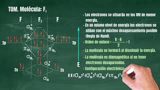 40 Teoría de Orbitales Moleculares Molécula F2 [upl. by Nawed281]