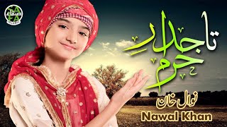 Nawal Khan  Tajdar e Haram  New Kalam 2023  Beautiful Video  Safa Islamic [upl. by Hukill]