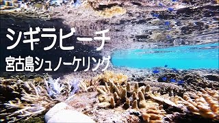 宮古島シュノーケリング【シギラビーチ】Gopro撮影 [upl. by Neile]