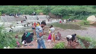 Full Enjay Ranthambore Sawai Madhopur Vlog Rajbagh ranthambore fullenjoy youtub youtubshort [upl. by Niki921]