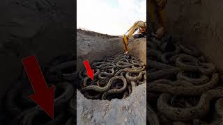 Excavator Stumbles Upon Giant Serpents in the Ground 🐍🚨 ShockingFind [upl. by Joshi]