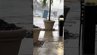 Florida Man Witnesses Unbelievable Porta Potty Phenomenon parody Humor 🌀😰 Hurricane Helene [upl. by Eglantine]