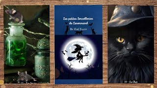 🔮 Les petites Sorcelleries de Lenormand de Zoe Falco ZoeFalco 🔮 [upl. by Madalena]