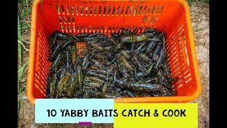 10 BEST YABBIES RED CLAW BAITS TO CATCH MORE FISHING AUSTRALIA YABBY CATCH AND COOK [upl. by Dranrev515]