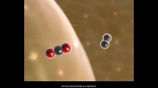 Acetyl CoA Formation [upl. by Donovan]