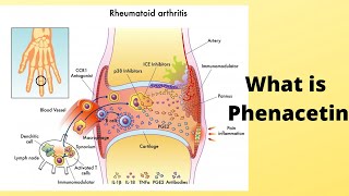 What is Phenacetin [upl. by Neret315]