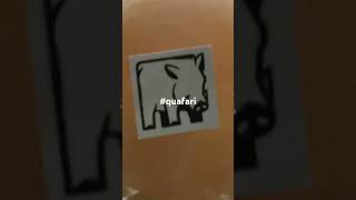 quafari sticker in the music studio [upl. by Latrena]