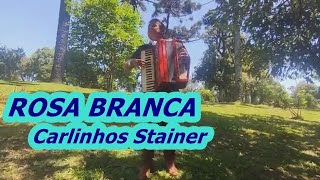 CARLINHOS STAINERS Rosa branca [upl. by Senalda846]