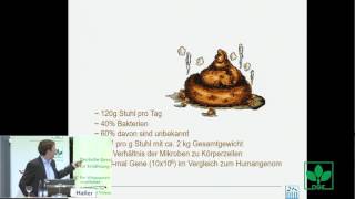 Mikrobiom im Darm  Krieg und Frieden an der Grenze zwischen Entzündung und Stoffwechsel [upl. by Leno610]