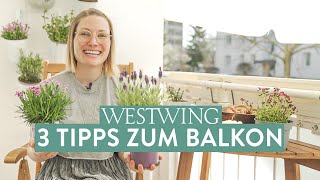 Balkon bepflanzen Mit diesen 3 Tipps klappt’s [upl. by Angelina]